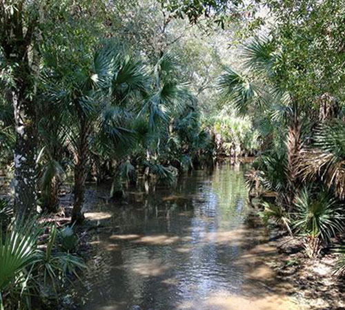 Billie swamp best sale safari admission prices